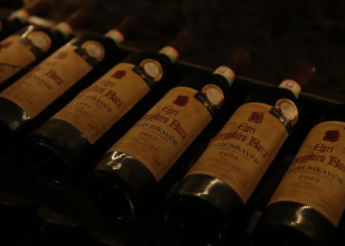 Korona Wellness, Rendezveny Es Borszalloda Hotel