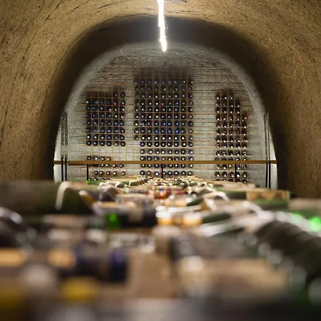 Hotel Korona Wellness, Rendezveny Es Borszalloda