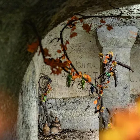 Korona Wellness, Rendezvény és Borszálloda