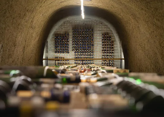 Hotel Korona Wellness, Rendezveny Es Borszalloda