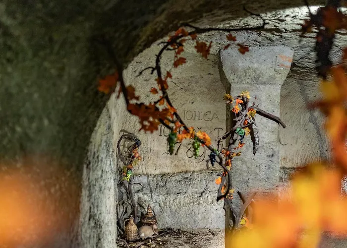 Korona Wellness, Rendezveny Es Borszalloda