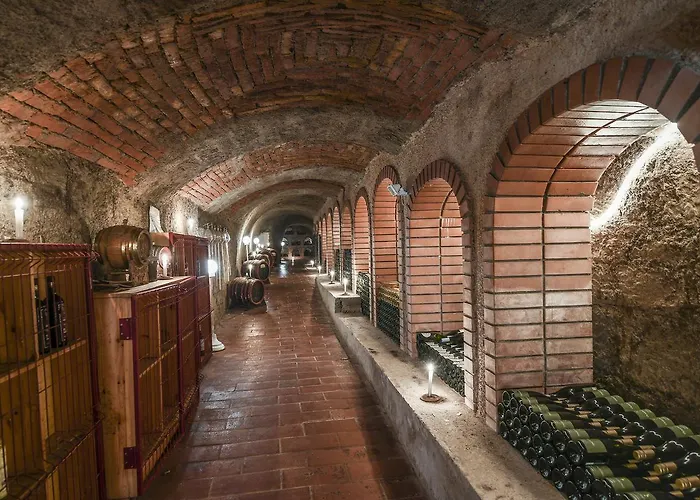 Hotel Korona Wellness, Rendezveny Es Borszalloda